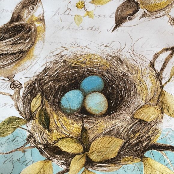 Spring Bird and Robin Eggs 11" Platter Dinner Plate Pier 1 Imports - Picture 2 of 6